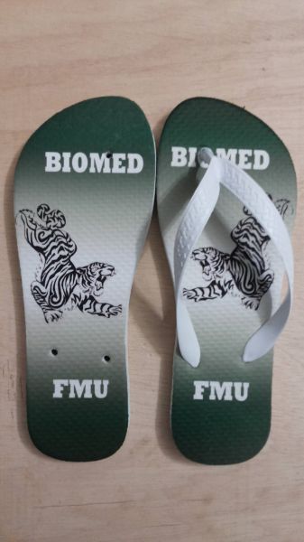 Chinelo Biomed